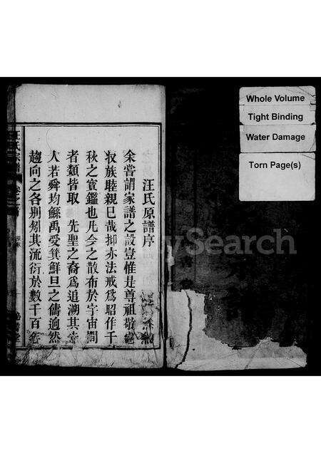 安徽汪氏族谱-汪氏宗谱 [3卷,首1卷].pdf电子版预览图2