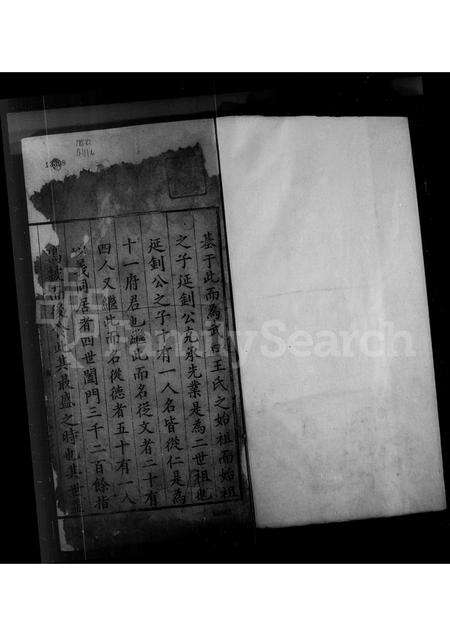 安徽王氏族谱-武口王氏统宗世谱.pdf电子版预览图2