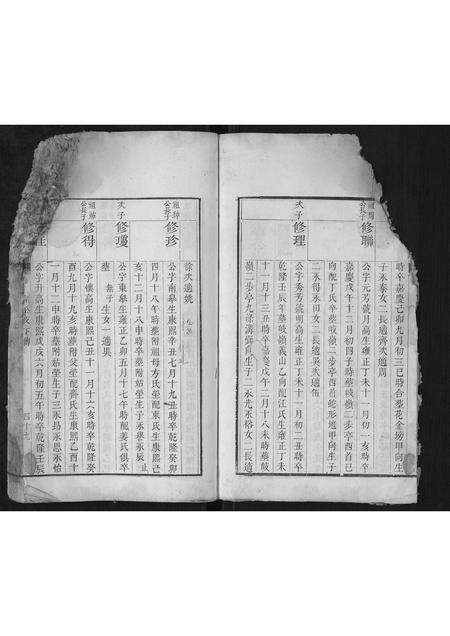 安徽王氏族谱-王氏宗谱.pdf电子版预览图2