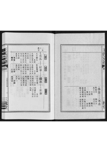 安徽王氏族谱-王氏宗谱.pdf电子版预览图2