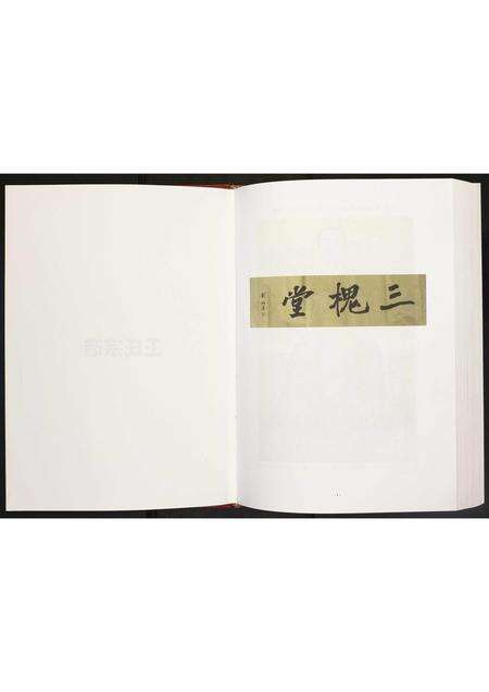 安徽王氏族谱-王氏宗谱.pdf电子版预览图2