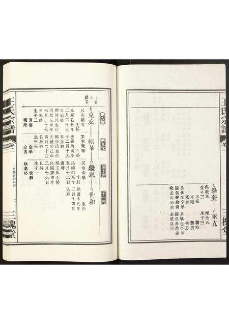 安徽王氏族谱-王氏宗谱.pdf电子版预览图2