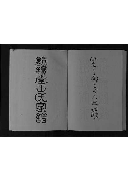 安徽王氏族谱-王氏家谱[不分卷].pdf电子版预览图2