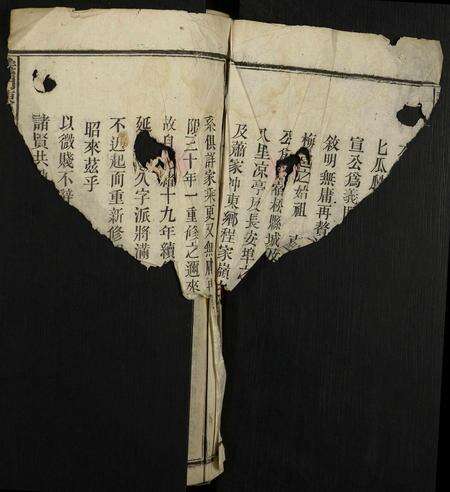 安徽陈氏族谱-义门陈氏宗谱.pdf电子版预览图2