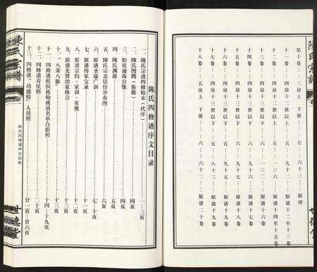 安徽陈氏族谱-陈氏宗谱.pdf电子版预览图2