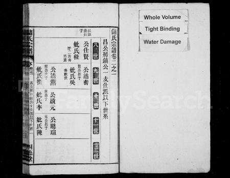 安徽储氏族谱-储氏宗谱 [2卷].pdf电子版预览图2
