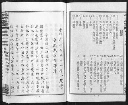 安徽段氏族谱-段氏宗谱[不分卷].pdf电子版预览图2