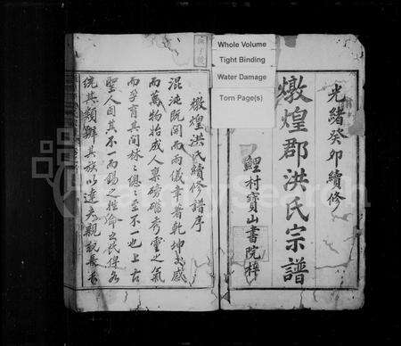 安徽洪氏族谱-炖煌郡洪氏宗谱 [24卷,首末各1卷].pdf电子版预览图2