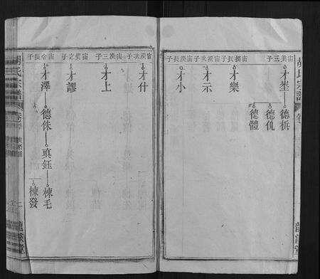 安徽胡氏族谱-胡氏宗谱.pdf电子版预览图2