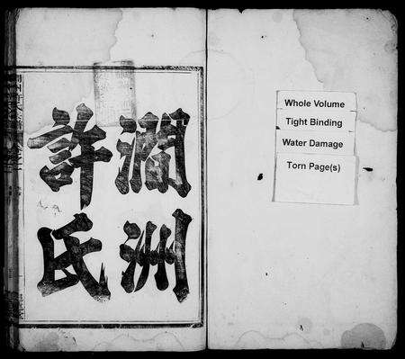 安徽许氏族谱-涧洲许氏宗谱 [10卷].pdf电子版预览图2