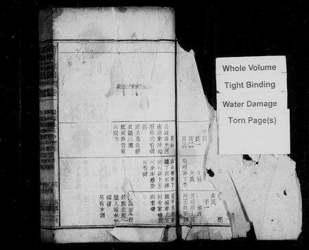 安徽蒋氏族谱-蒋氏宗谱 [36卷].pdf电子版预览图2