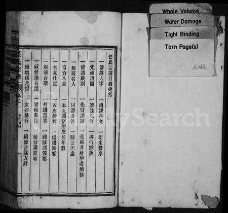 安徽任氏族谱-任氏宗谱 [22卷].pdf电子版预览图2