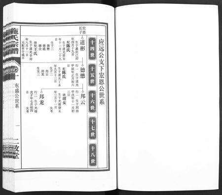 安徽施氏族谱-施氏宗谱 [10卷].pdf电子版预览图2