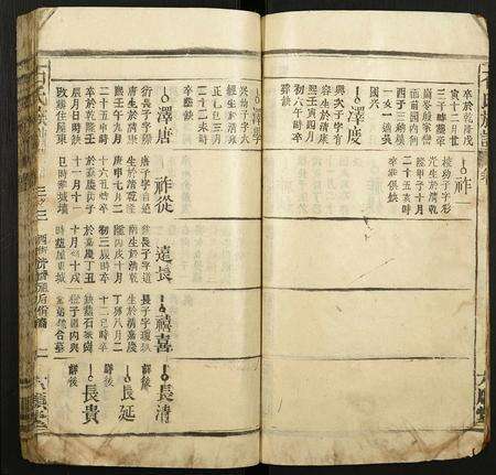 安徽石氏族谱-石氏族谱.pdf电子版预览图2