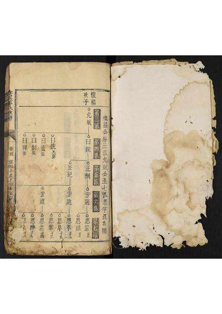 福建姜氏族谱-交溪姜氏族谱.pdf电子版预览图2