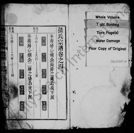 安徽孙氏族谱-孙氏宗谱.pdf电子版预览图2