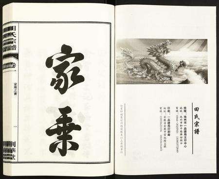 安徽田氏族谱-田氏宗谱.pdf电子版预览图2