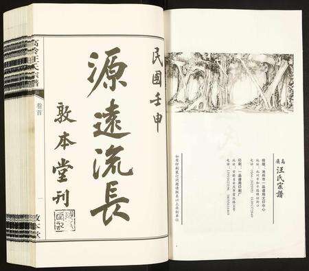 安徽汪氏族谱-高岭汪氏宗谱.pdf电子版预览图2