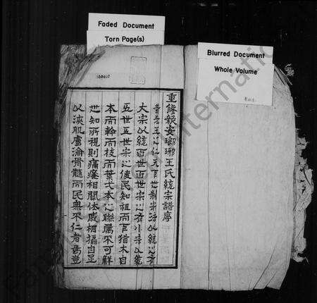 安徽王氏族谱-新安琅琊王氏统宗世谱 [10卷,首1卷].pdf电子版预览图2