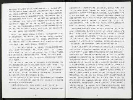 安徽王氏族谱-颍淮王氏族谱.pdf电子版预览图2