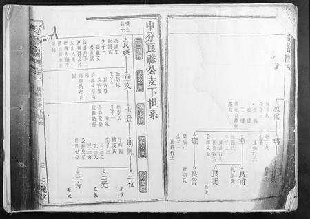 安徽王氏族谱-王氏五修宗谱.pdf电子版预览图2