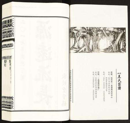 安徽王氏族谱-王氏宗谱.pdf电子版预览图2