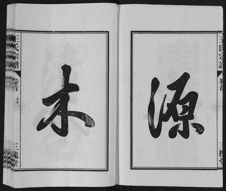 安徽王氏族谱-王氏宗谱[6卷,首1卷].pdf电子版预览图2