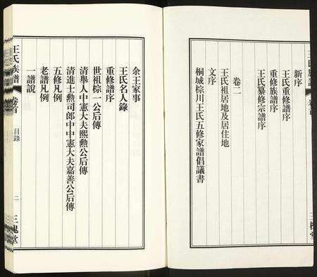 安徽王氏族谱-王氏族谱.pdf电子版预览图2