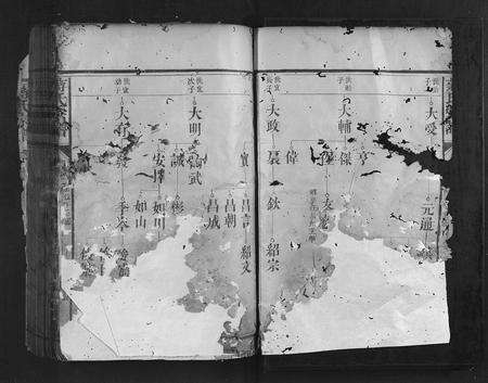 福建蒋氏族谱-蒋氏宗谱.pdf电子版预览图2