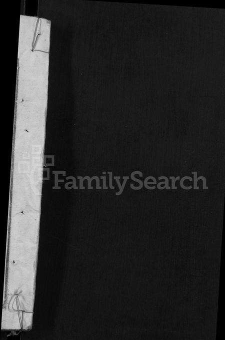 安徽陈氏族谱-义门陈氏宗谱 [9卷,首1卷].pdf电子版预览图2