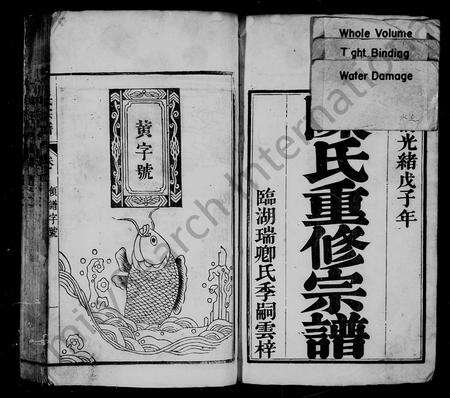 安徽陈氏族谱-陈氏重修宗谱 [10卷].pdf电子版预览图2