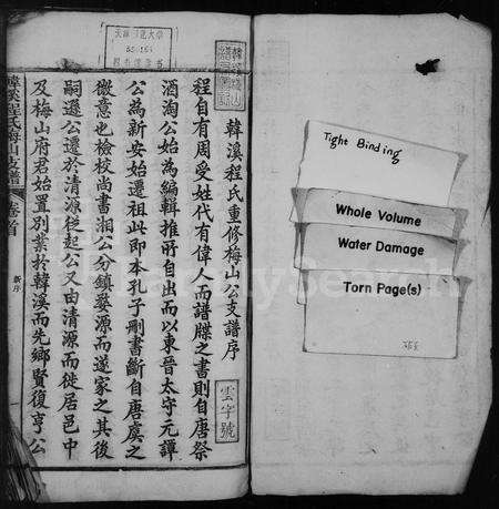 安徽程氏族谱-韩溪程氏梅山支谱 _ [12卷_首1卷_附2卷].pdf电子版预览图2