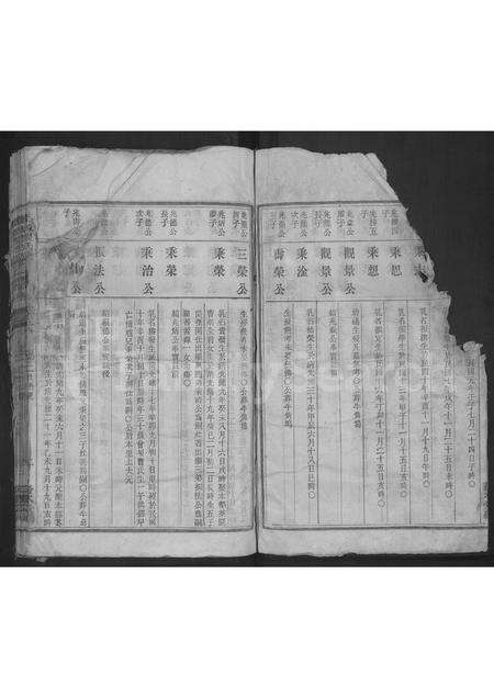 安徽程氏族谱-上源程氏续修族谱 [6卷].pdf电子版预览图2