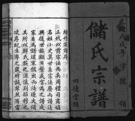 安徽储氏族谱-储氏宗谱 [残卷].pdf电子版预览图2