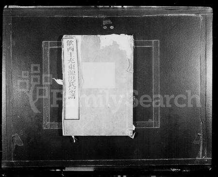 安徽洪氏族谱-王充东源洪氏宗谱 [10卷].pdf电子版预览图2