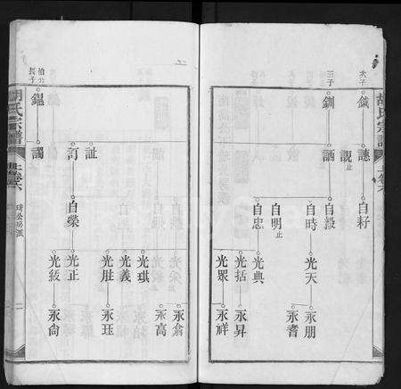 安徽胡氏族谱-胡氏宗谱 [上22卷,下4卷].pdf电子版预览图2