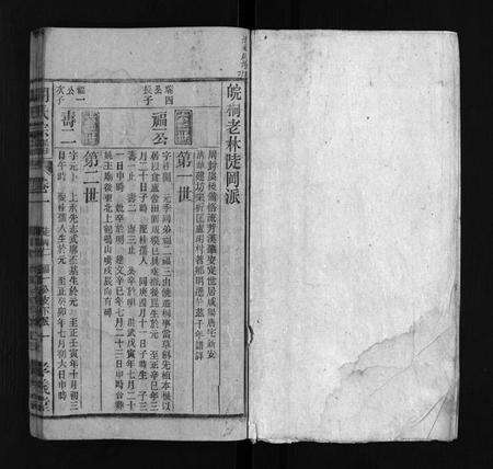 安徽胡氏族谱-胡氏宗谱 [按支分卷].pdf电子版预览图2