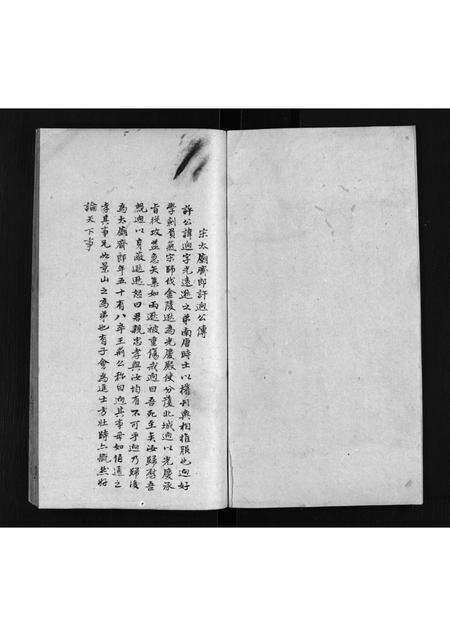 安徽许氏族谱-许氏家谱 [不分卷].pdf电子版预览图2