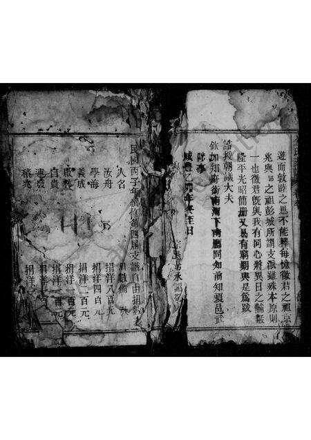 安徽金氏族谱-京兆金氏支谱.pdf电子版预览图2