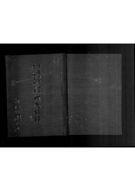 福建柯氏族谱-褔建省惠安县惠北梅东乡蚵厝柯氏族谱.pdf电子版预览图2