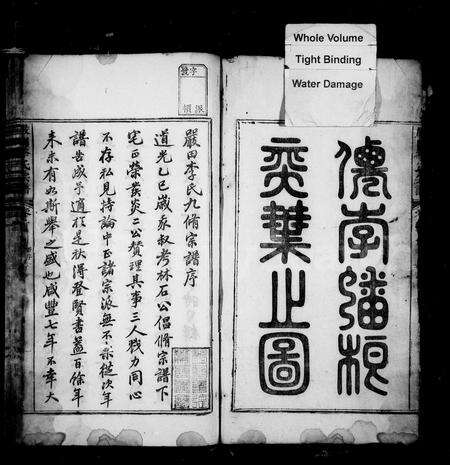 安徽李氏族谱-严田李氏宗谱 [16卷,首1卷].pdf电子版预览图2