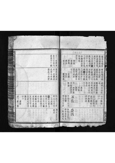 安徽李氏族谱-李氏宗谱 [7卷,首上下各1卷].pdf电子版预览图2