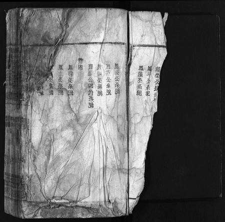 安徽李氏族谱-龙眠李氏宗谱 [12卷].pdf电子版预览图2