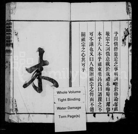 安徽凌氏族谱-凌氏宗谱 [10卷].pdf电子版预览图2