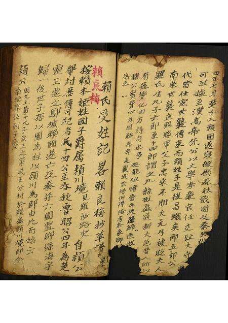 福建赖氏族谱-赖氏族谱.pdf电子版预览图2