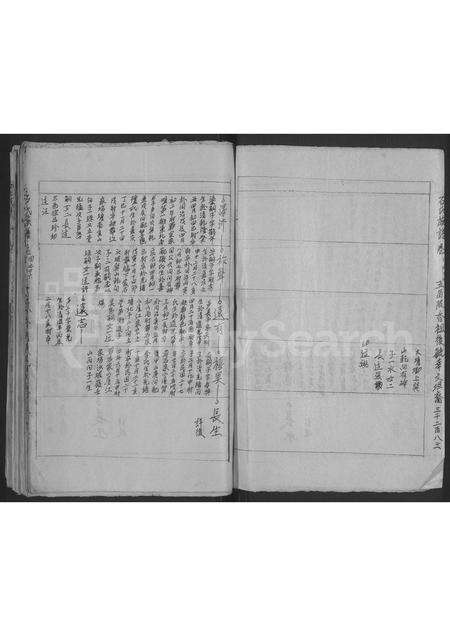 安徽石氏族谱-石氏族谱 [不分卷].pdf电子版预览图2