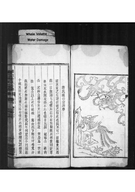 安徽唐氏族谱-东濡唐氏家谱.pdf电子版预览图2