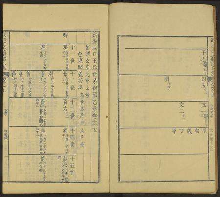 安徽王氏族谱-新安武口王氏统谱 [共264卷计40册].pdf电子版预览图2