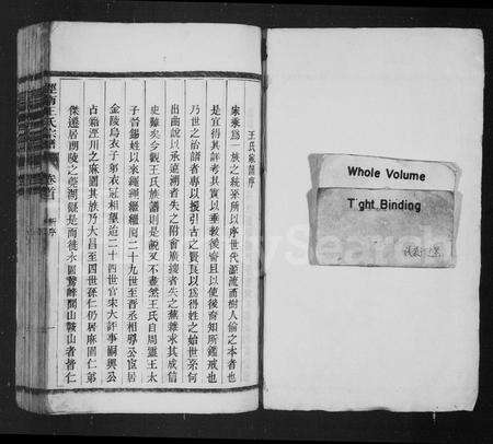 安徽王氏族谱-琅琊王氏宗谱 [15卷,及卷首].pdf电子版预览图2