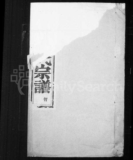 安徽王氏族谱-盘川王氏宗谱 [6卷,首末各1卷,前1卷].pdf电子版预览图2